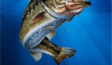 iFishing, vai a pesca con il tuo Windows Phone