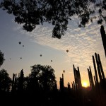 Foto scattata con Lumia
