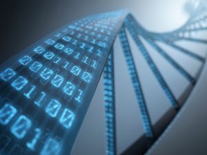 DNA Storage