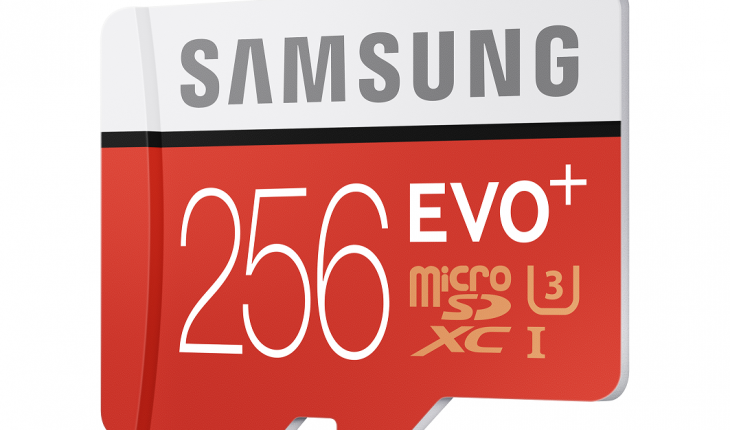Micro SD EVO Plus da 256 GB