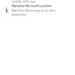 Backup Microsoft Launcher