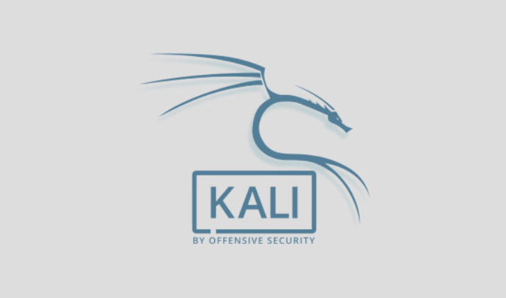 La distribuzione Kali Linux è ora scaricabile anche dal Microsoft Store