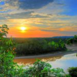 Amazon Rainforest