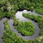 Amazon Rainforest