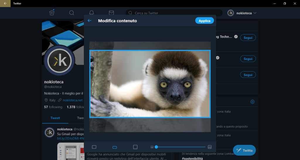 Twitter ritaglio immagini