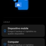 Backup e Ripristino su Computer